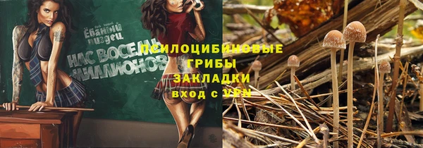 a pvp Абинск